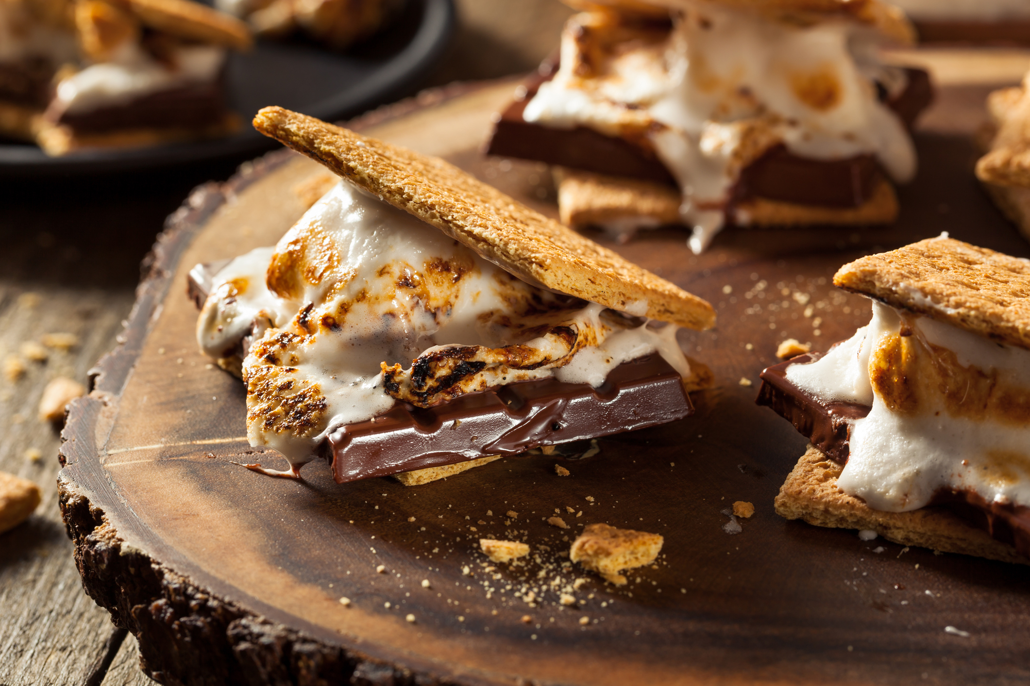 Homemade Gooey Marshmallow S'mores with Chocolate on the North Fork