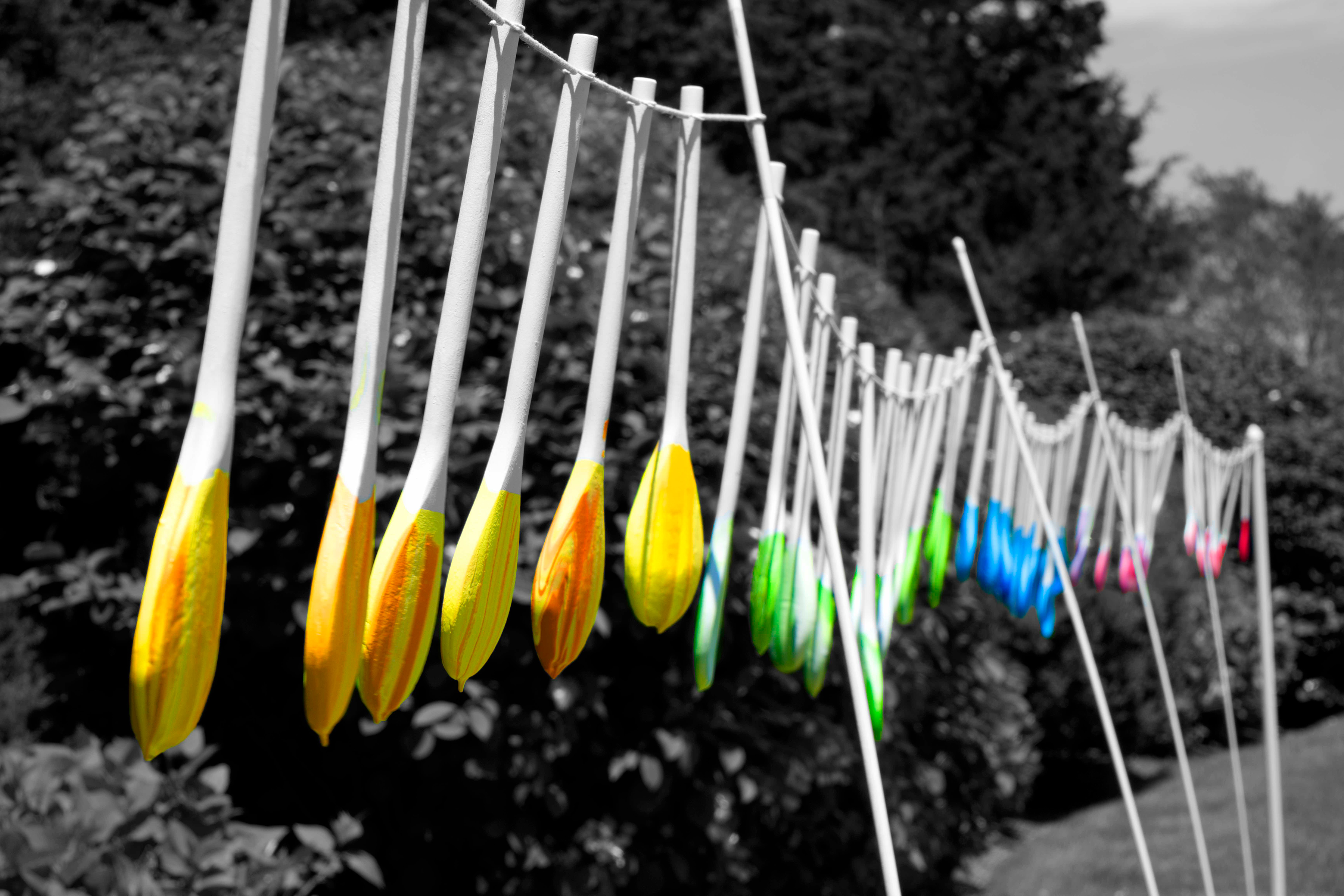 "Seeing Rainbows" by Patti Grabel