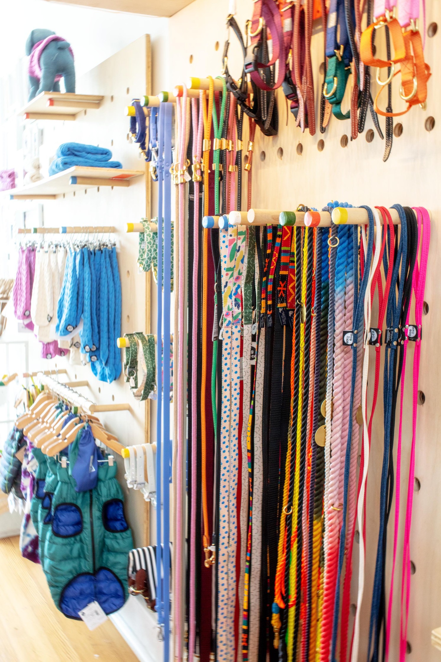 Leashes, jackets, and more are offered at DOG & CO.