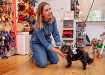 Dog & Co. in Bridgehampton is a top of the line store for pet supplies.