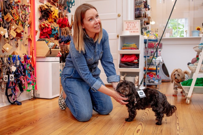 Dog & Co. in Bridgehampton is a top of the line store for pet supplies.