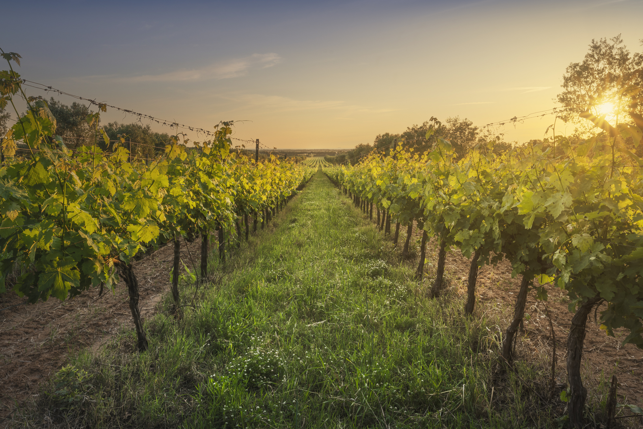 The fall crowds are gone, but North Fork wine country is still open.