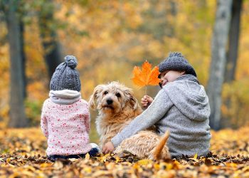 Family time is more special around the holidays.