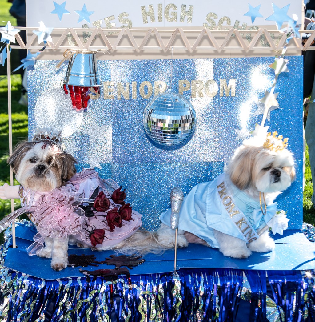 Queen and King of the Prom