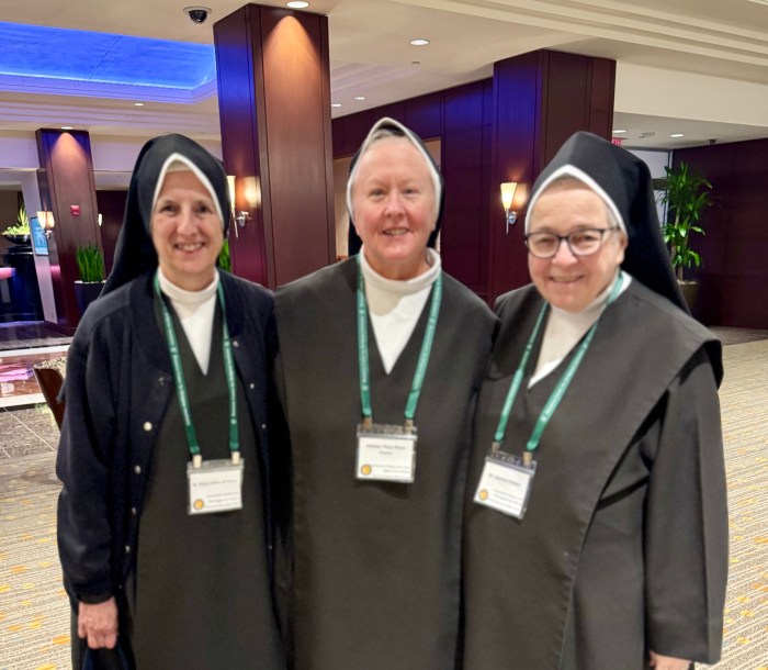 Carmelite System and Carith Ministries