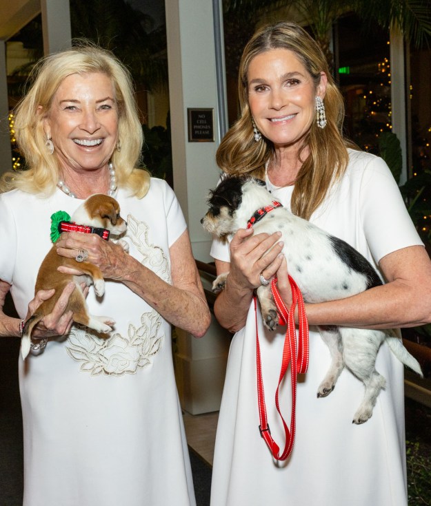 Pauline Pitt, Aerin Lauder
