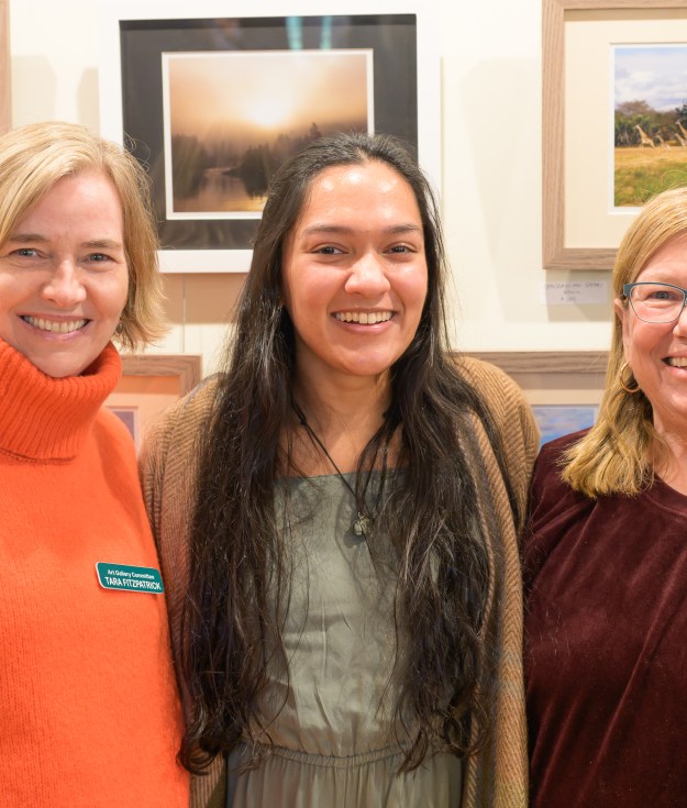 Art Gallery Commitee member Tara Fitzpatrick, Meghan Goparaju, Kitty Gilmore