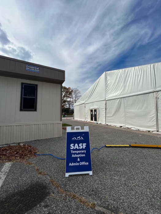 Adoptable animals have been kept in temporary kennels in the parking lot during the renovations.