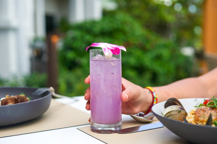 A cocktail at Bacaro