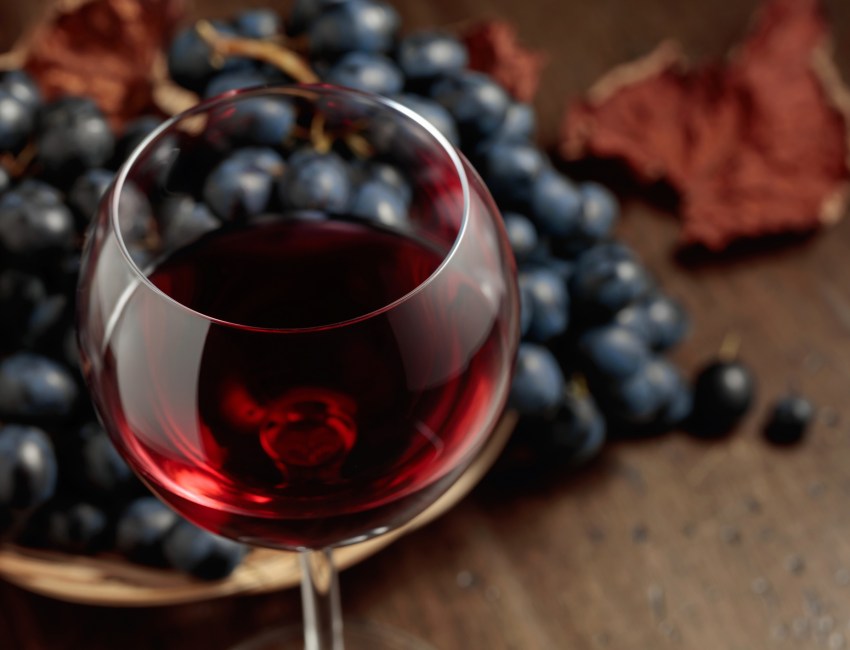 Enjoy a fabulous Long Island Merlot wine