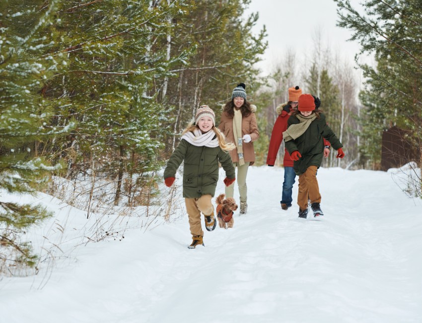 There are plenty of great spots to take winter hikes in the Hamptons.