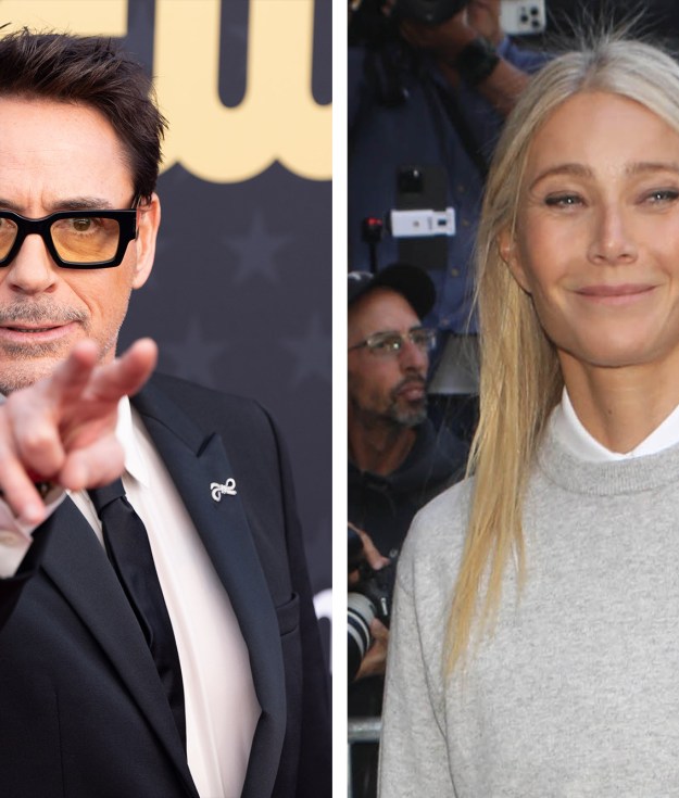 Robert Downey Jr. lovingly roasted Gwyneth Paltrow at the Women in Entertainment gala