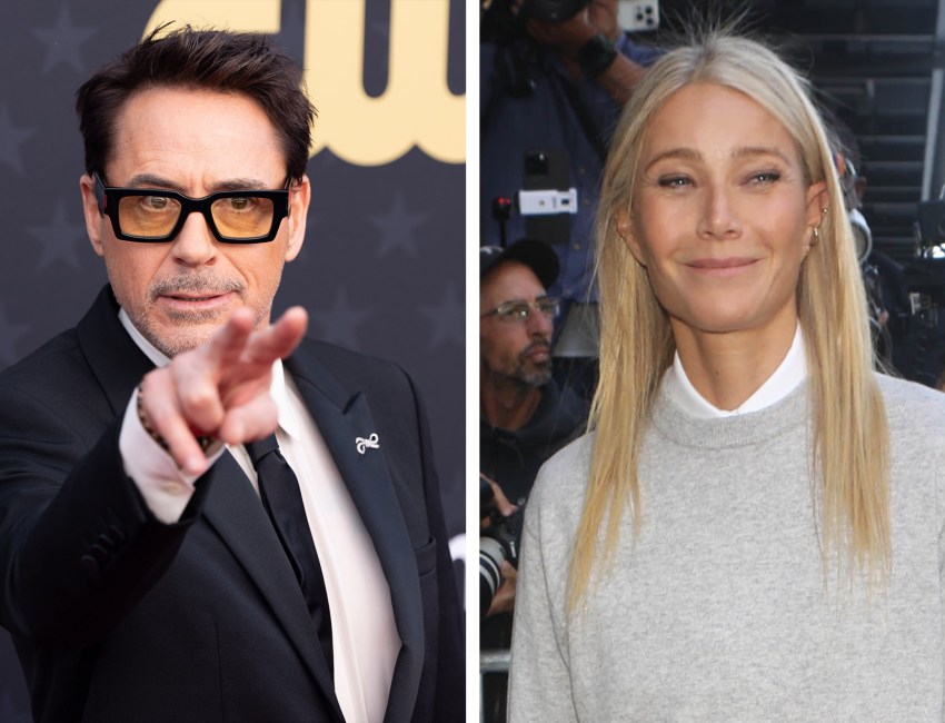 Robert Downey Jr. lovingly roasted Gwyneth Paltrow at the Women in Entertainment gala