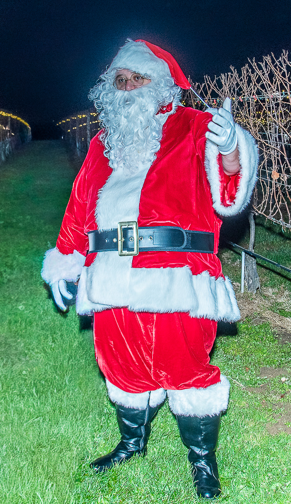 Santa in the Vines