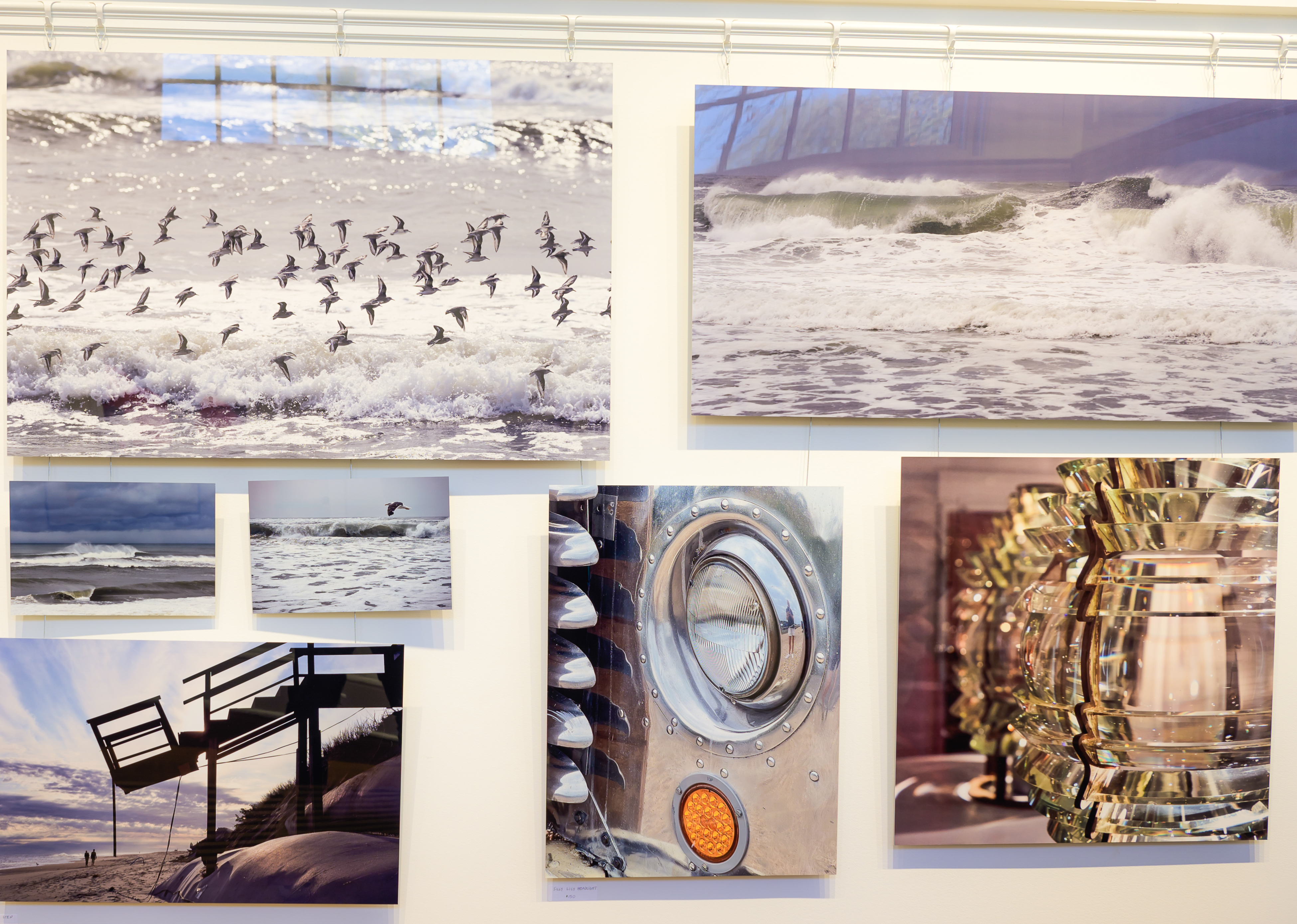 Victoria Sartorius Photos on Display