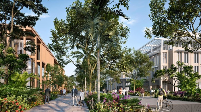 The view looking west on Evernia Street.