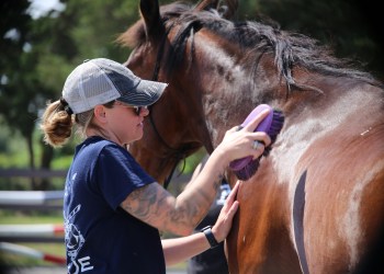 Allison Cerullo, a retired first responder, spending time grooming Sully, one of the rescued horses at the Warrior Ranch Foundation in Calverton.