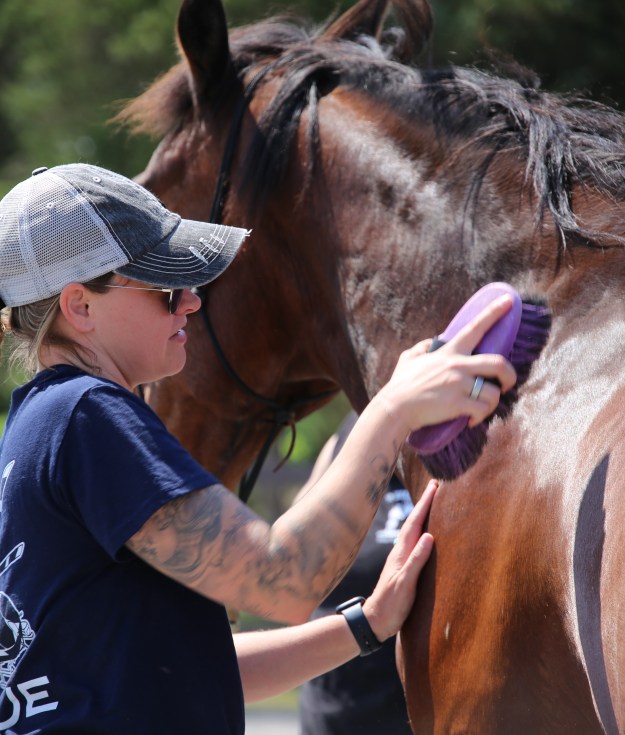 Allison Cerullo, a retired first responder, spending time grooming Sully, one of the rescued horses at the Warrior Ranch Foundation in Calverton.