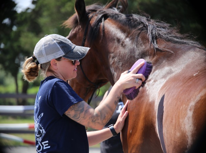 Allison Cerullo, a retired first responder, spending time grooming Sully, one of the rescued horses at the Warrior Ranch Foundation in Calverton.