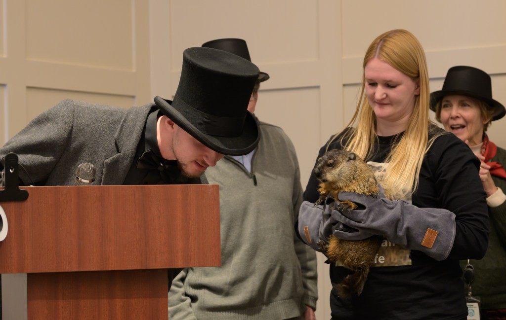 Sam Champion the groundhog making his Groundhog Day forecast at Quogue Library on Feb. 2, 2026 (Rick Siegelman)