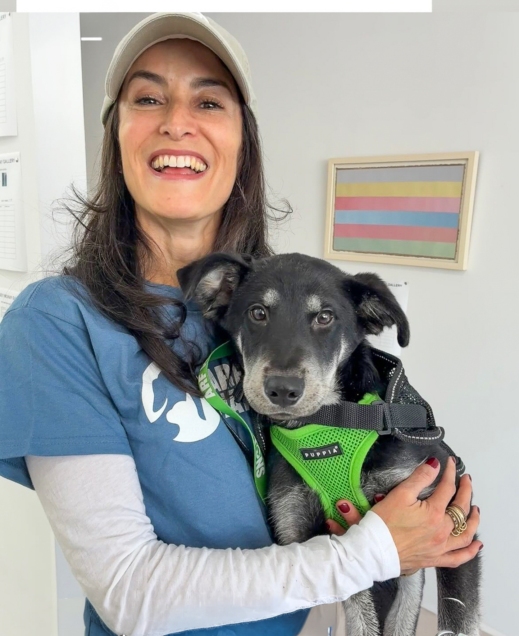 ARF Volunteer Stav Georgallis with an adoption puppy