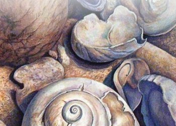 February 6, 2026 Dan's Papers cover art by Lil Reznicek