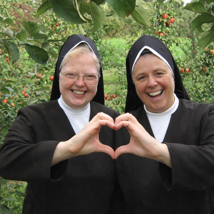 Carmelite Sisters of the aged and infirm.