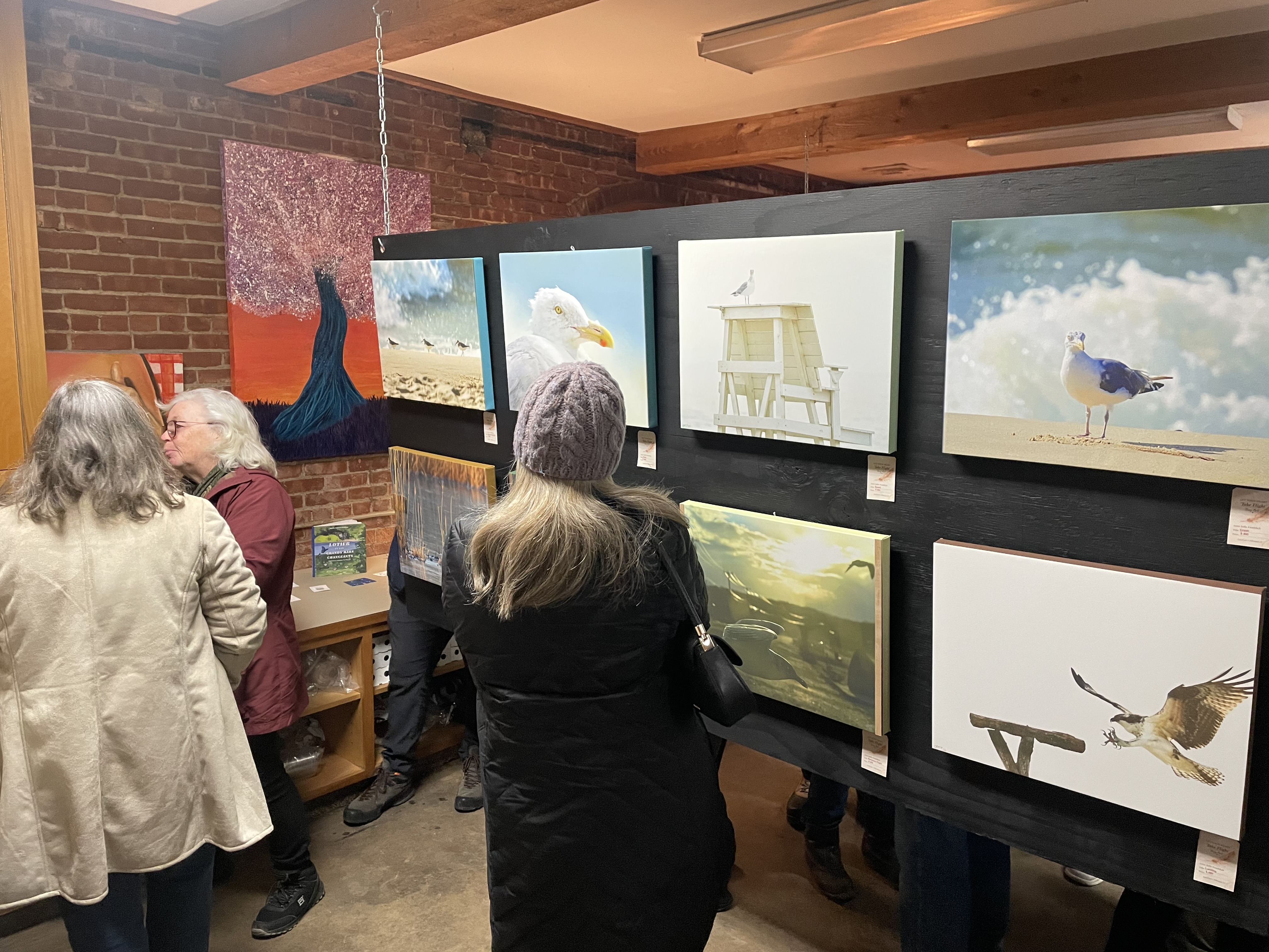 Take Flight at Java Nation