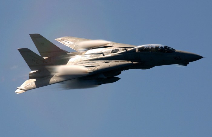 Navy F-14B Tomcat F-14 are in Iran