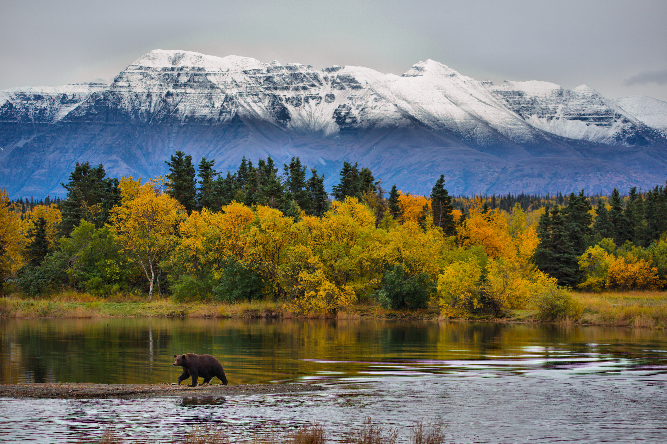 In this three part series, Shinnecock Voices author Charlotte Roe discusses spending a summer in Alaska.