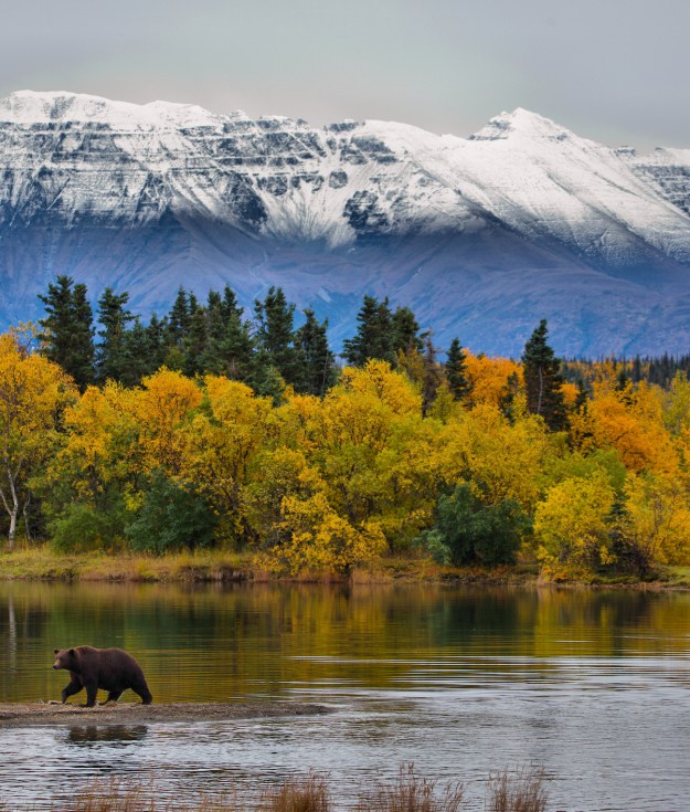In this three part series, Shinnecock Voices author Charlotte Roe discusses spending a summer in Alaska.
