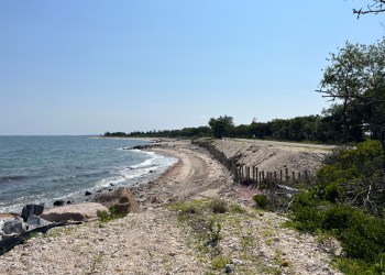 Go bird watching at Orient Beach State Park on March 21.