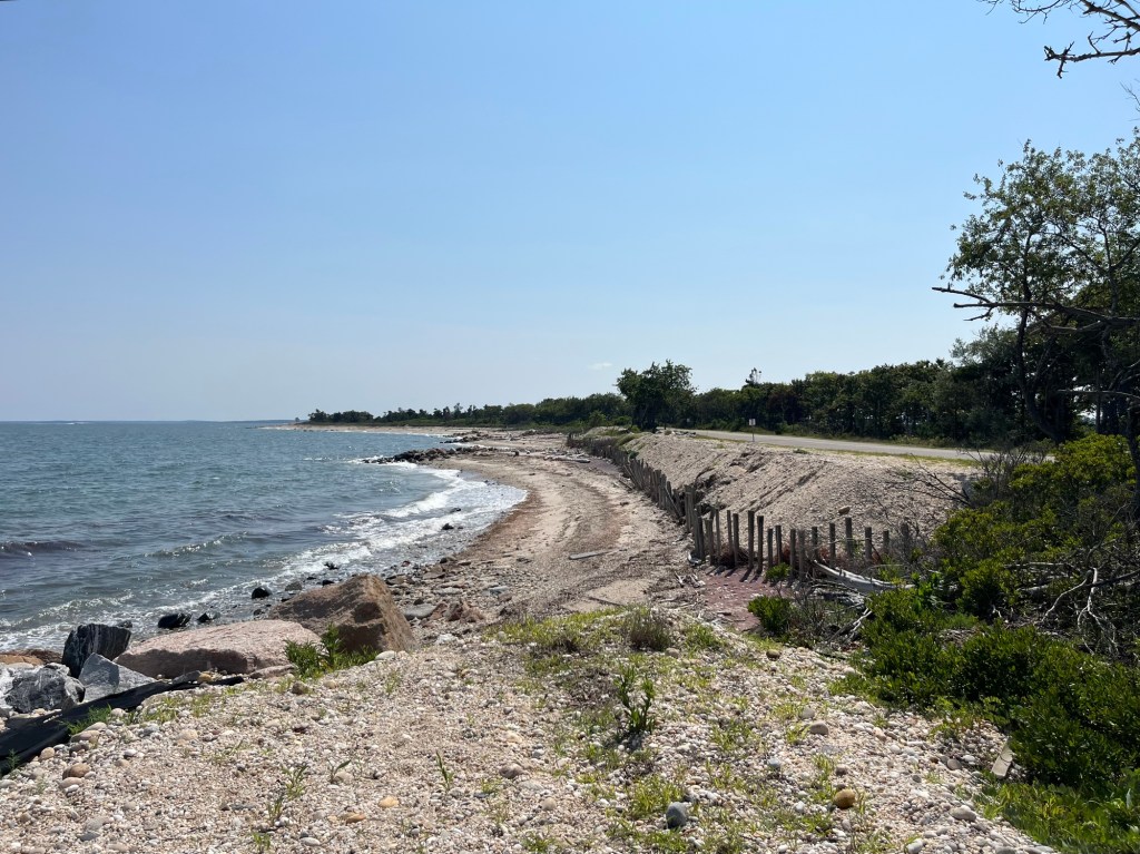 Go bird watching at Orient Beach State Park on March 21.