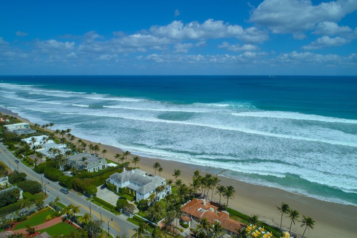 What's the best part of Palm Beach? It's in the name.