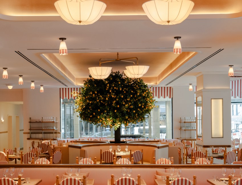 Mark Barak's latest gem, Giulietta