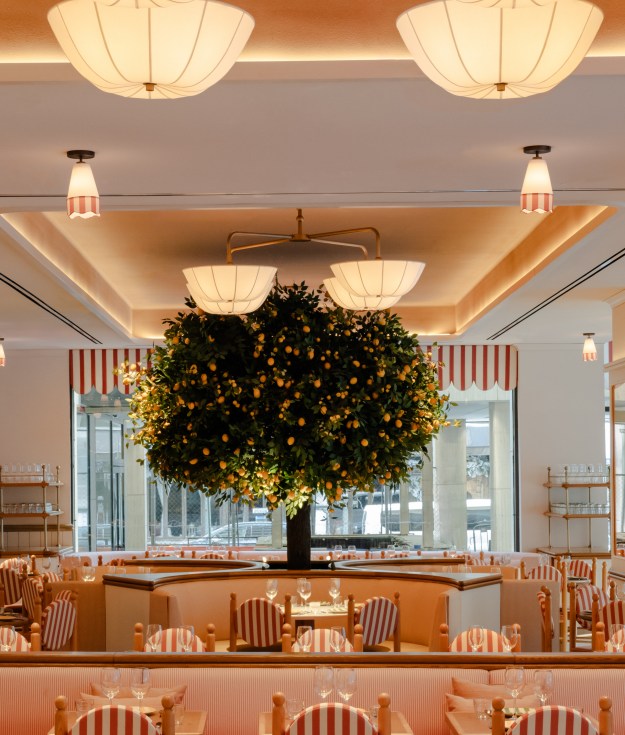 Mark Barak's latest gem, Giulietta