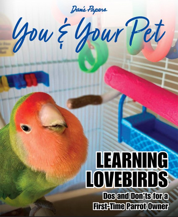 You & Your Pet March 2026 cover featuring Bingo the lovebird