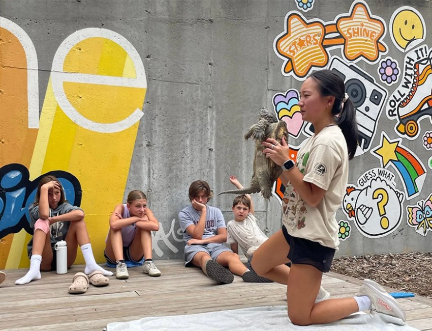 Shine Hamptons summer camps