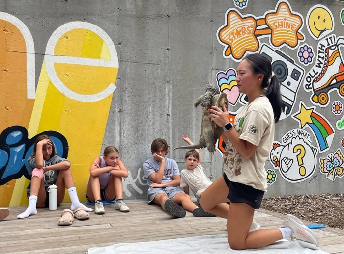 Shine Hamptons summer camps