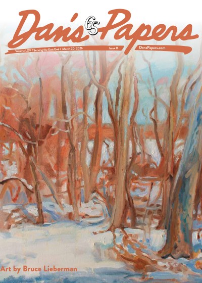 March 20, 2026 Dan's Papers cover art by Bruce Lieberman