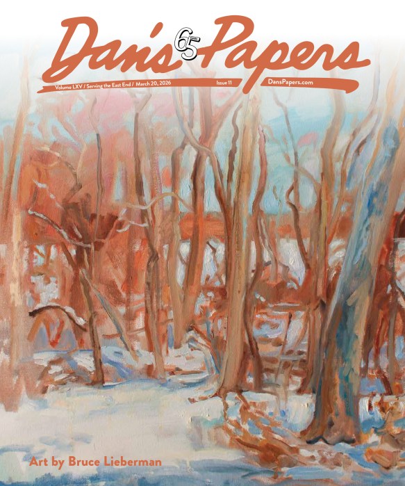March 20, 2026 Dan's Papers cover art by Bruce Lieberman