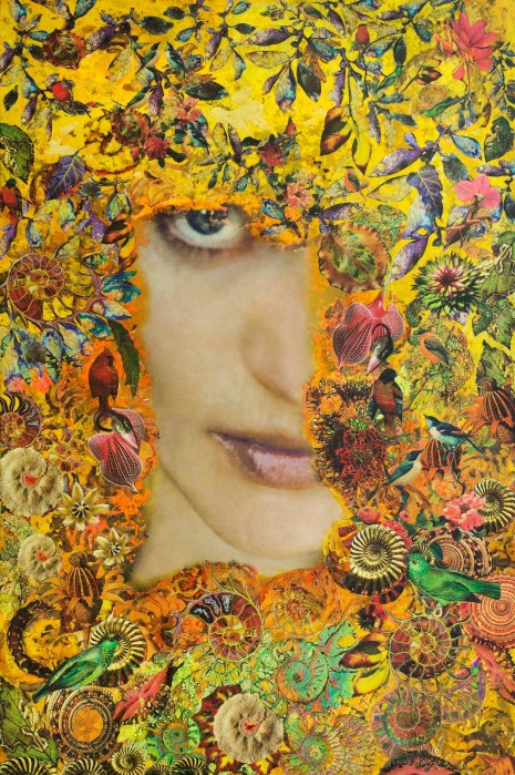 Art by Ishbel Macintosh