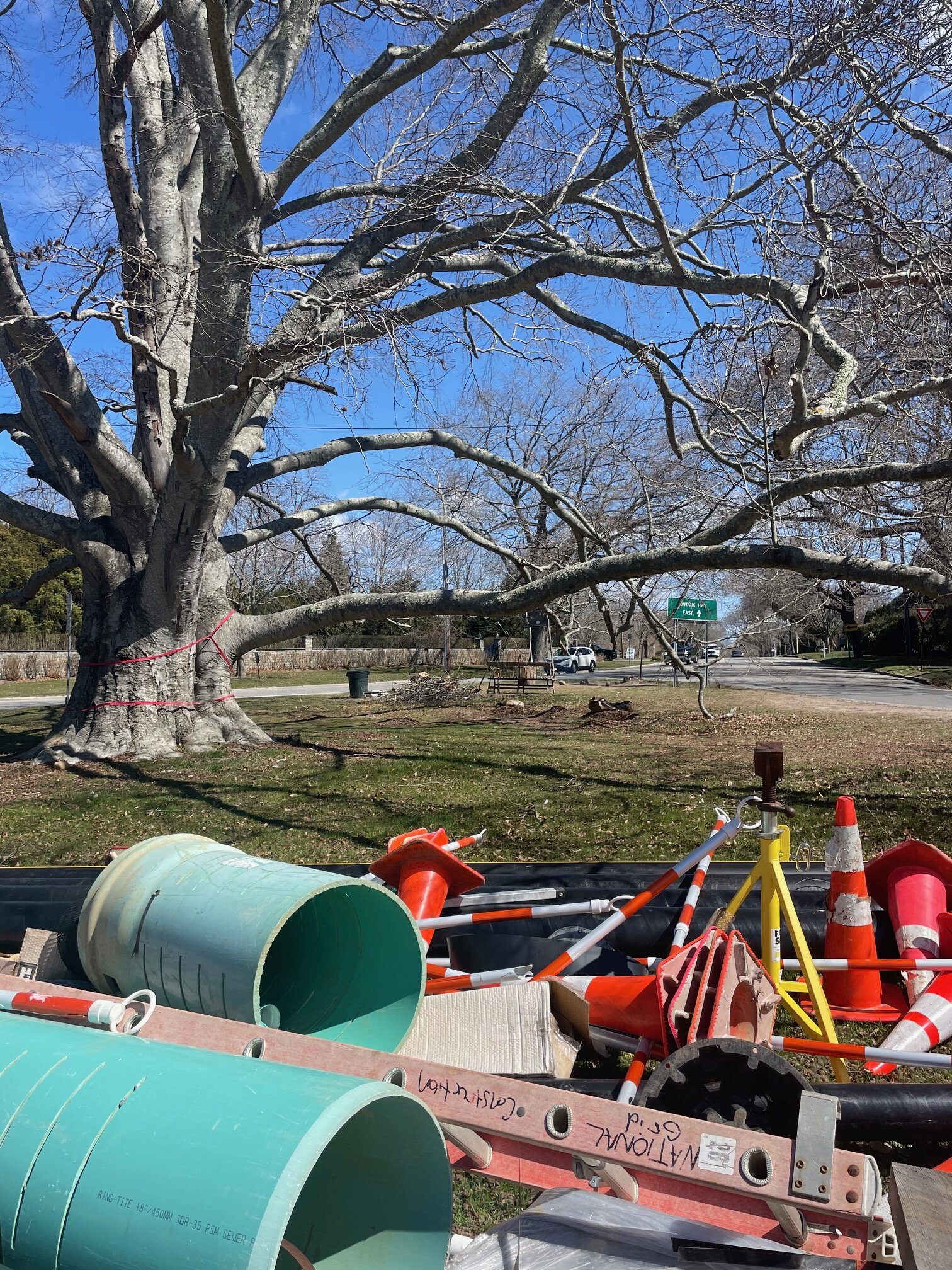 This Old Beech Tree came to general exposure due to the work of National Grid on the land surrounding the Tree.