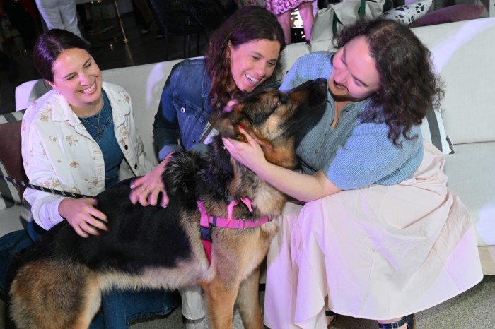 Enjoy ARF's Rescues & Rosé on June 12. 