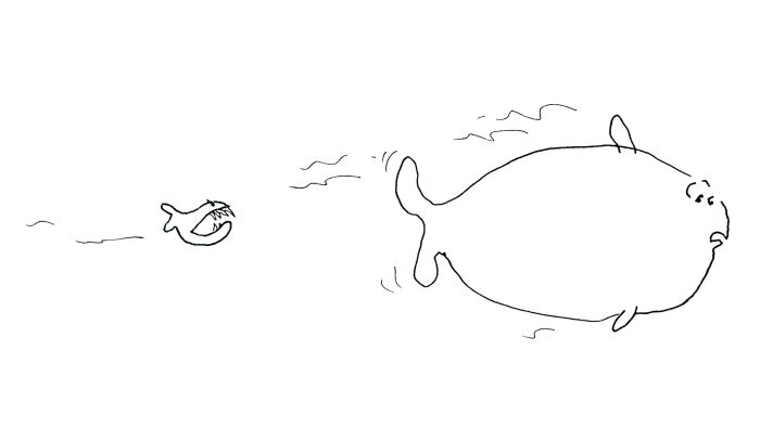 Fish cartoon by Dan Rattiner