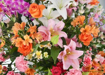 Don't miss the Macy's Flower Show