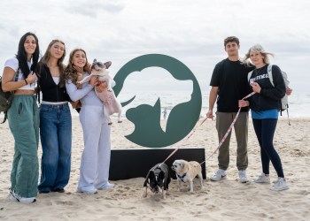 The ARF Stroll to the Sea Dog Walk takes place on Oct. 10 this year