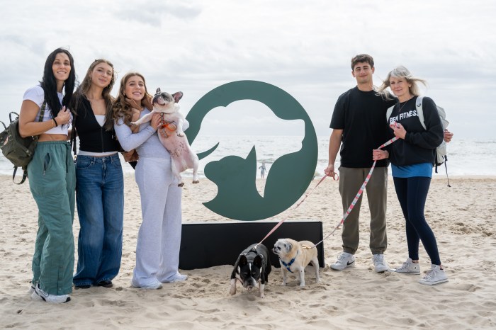 The ARF Stroll to the Sea Dog Walk takes place on Oct. 10 this year