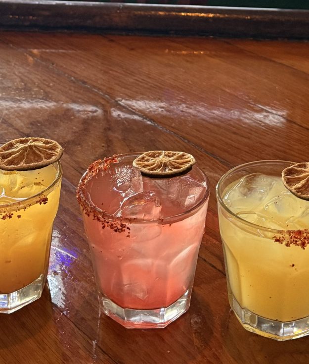 Birdie's Flecha Azul Mini Margs