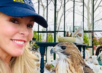 Ulrika Parash and Cloud the red-tailed hawk